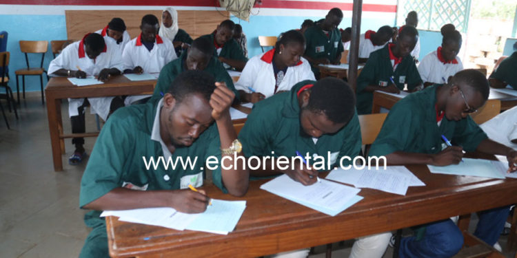 Tamba : ISETA réalise un taux de 100% de réussite en aviculture, 2 étudiantes en horticulture bientôt en formation-stage en France, l’Institut  sera ouvert à Dakar.