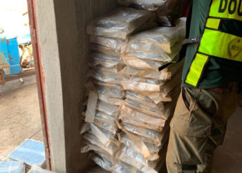 Kédougou : Saisie de 248 kg de drogue par la Douane dans un camion en provenance du Mali.