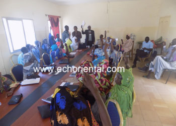 Tamba : Le conseil municipal de Sinthiou Maléme vote le budget 2020 à l’unanimité, Le Maire fixe ses priorités