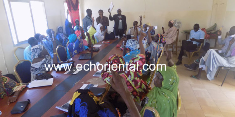 Tamba : Le conseil municipal de Sinthiou Maléme vote le budget 2020 à l’unanimité, Le Maire fixe ses priorités