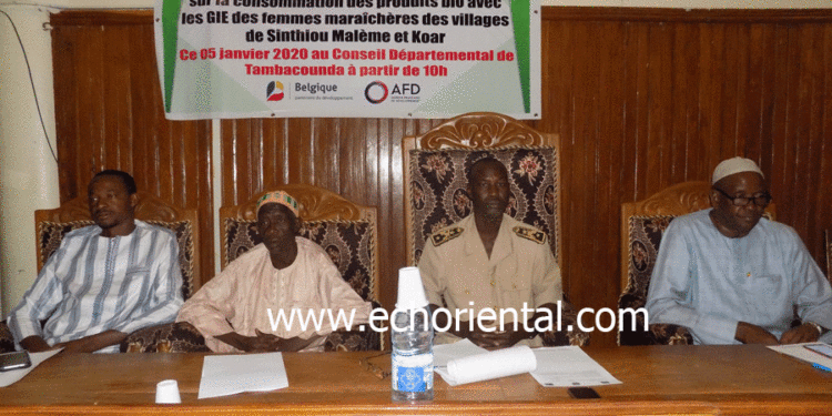 Tambacounda : « Ambé Koun Solidarité » sensibilise sur la consommation bio pour une alimentation saine.