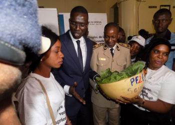 Tambacounda : Le projet de formation école – entreprise (pf2e) lancé,  323 contrats d’apprentissages signés.