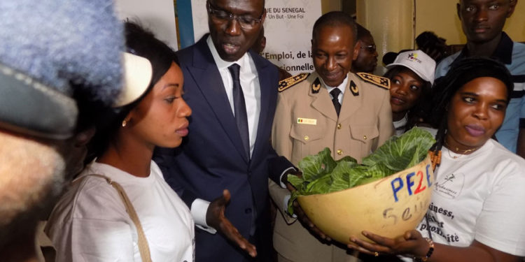 Tambacounda : Le projet de formation école – entreprise (pf2e) lancé,  323 contrats d’apprentissages signés.