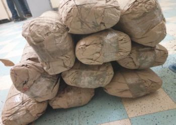 Tambacounda : 234 kg de chanvre indien, une kalachnikov et deux camions saisis par la police