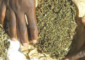 Incroyable: Une dame de 62 ans arrêtée en possession de drogue et d’une kalachnikov par les policiers de l’Ocrtis de Tamba.