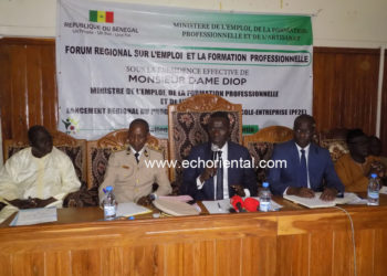 Dame Diop, ministre de l’emploi de la formation professionnelle et de l’artisanat : « Nous aurons bientôt des champions artisanaux dans toutes les régions ».