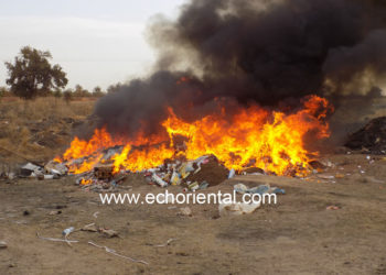 Tambacounda : Incinération de faux médicaments et de chanvre indien d’une valeur de plus 200 millions de francs CFA.