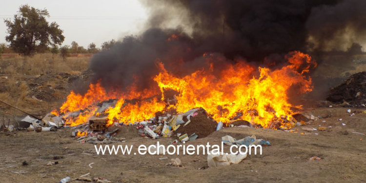 Tambacounda : Incinération de faux médicaments et de chanvre indien d’une valeur de plus 200 millions de francs CFA.