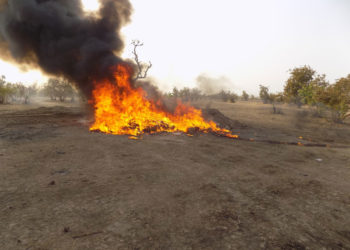 Tambacounda : Plus d’une tonne de drogue incinérée, 5 tonnes de produits impropres à la consommation détruits.