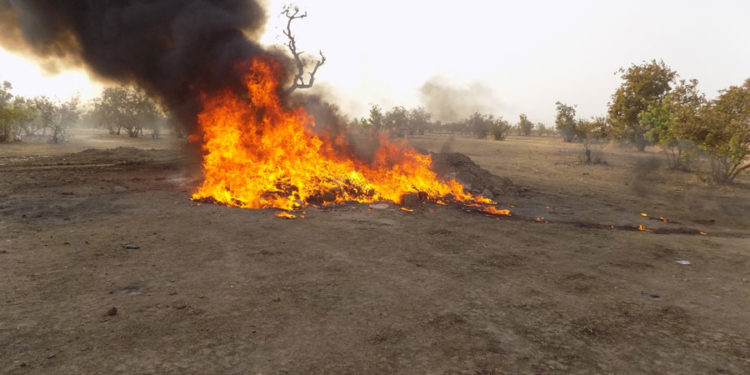 Tambacounda : Plus d’une tonne de drogue incinérée, 5 tonnes de produits impropres à la consommation détruits.