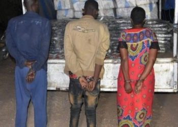 Un réseau de trafic d’êtres humains démantelé à Kédougou