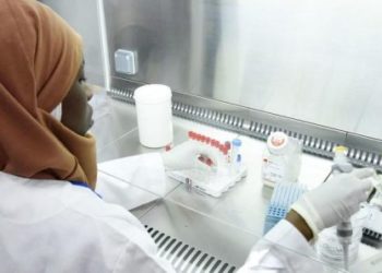 Covid-19 au Sénégal : 13 nouveaux cas, 12 guéris