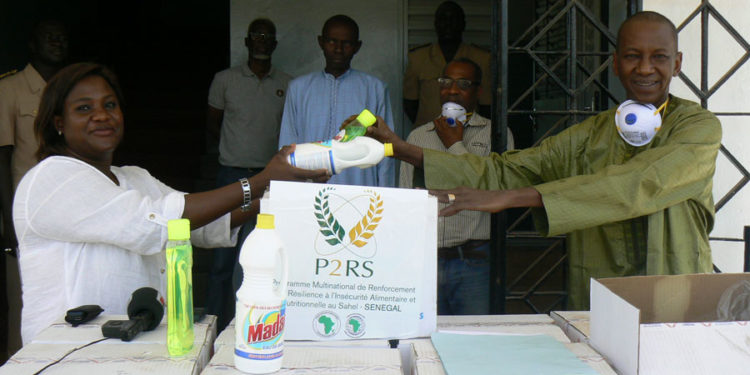 Lutte contre le Covid-19 à Tamba : P2RS remet des centaines de cartons de produits au CRGE.