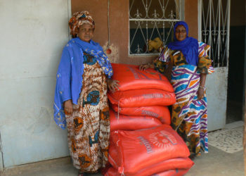 Tamba : Confinement des talibés dans les Daaras, les « Ndéyou Daarras » distribuent des denrées et interpellent les autorités et le CRGE.