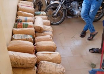 La Police saisit 94 kilogrammes de chanvre indien à Sédhiou et à Tambacounda.