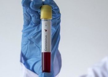 Covid-19: Accalmie à Tamba, pas de nouveaux cas, Le Sénégal comptabilise 79 cas positifs et 2 nouveaux décès ce dimanche 7 Juin