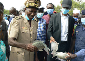Ferme piscicole de Gouloumbou : Le ministre des pêches et de l’économie maritime repart satisfait