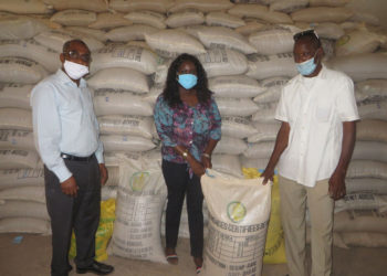 Covid-19 et Campagne agricole à Tamba : P2RS dote les producteurs de semences