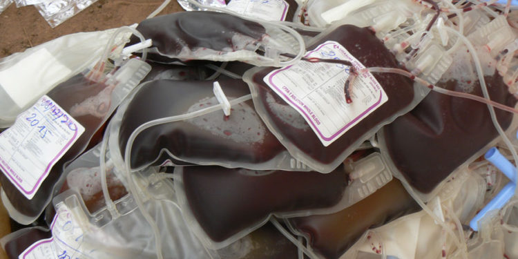 Pénurie de sang à Tamba : Les Enseignants acquis à la cause du ministre Sidiki Kaba, donnent du sang à la banque du CHRTC