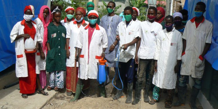 Tamba : Migration précoce des jeunes, Enda Jeunesse Action forme 100 jeunes en entreprenariat