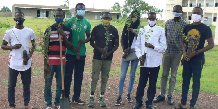 Tamba : Des étudiants du « forum des agents de développement », lancent l’opération de reboisement des Lycées de la ville.