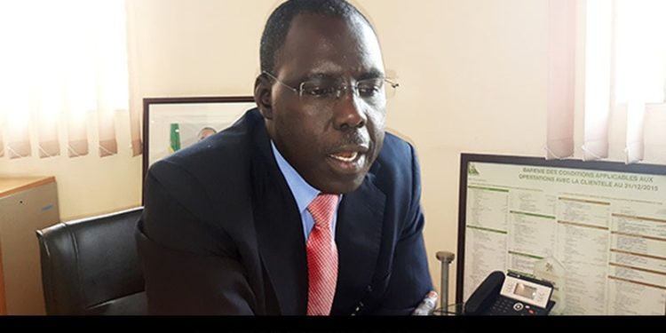 Tambacounda: Le directeur général de la Banque Agricole (LBA) rend visite aux producteurs