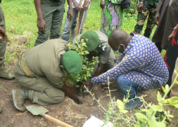 Journée régionale de l’arbre à Tamba : Le Président Sina Cissokho a planté un arbre et invite à s’approprier la journée.