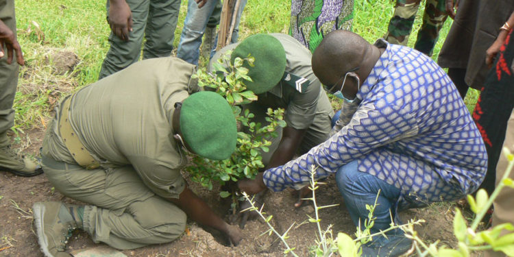 Journée régionale de l’arbre à Tamba : Le Président Sina Cissokho a planté un arbre et invite à s’approprier la journée.