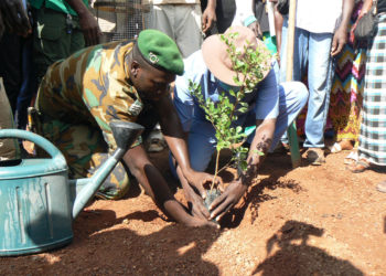 Reboisement/ »Tamba ville verte » : Les autorités invitent les ASC à s&rsquo;impliquer dans le projet de plantation d’arbres.