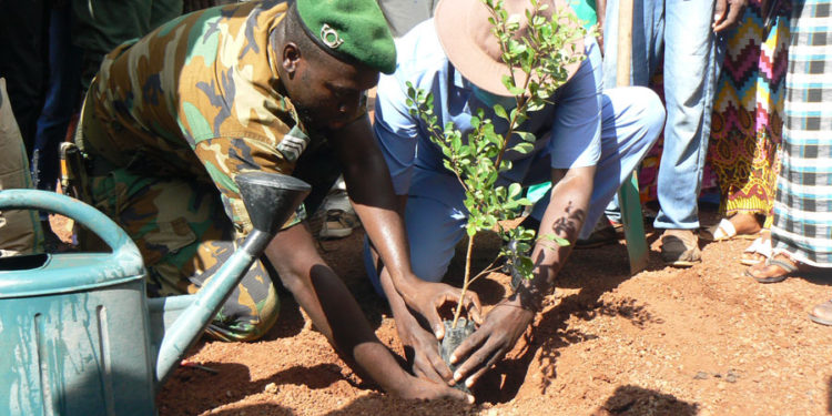 Reboisement/ »Tamba ville verte » : Les autorités invitent les ASC à s&rsquo;impliquer dans le projet de plantation d’arbres.