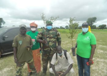 Campagne de reboisement 2020 à Tamba : 1200 arbres plantés à Sinthiou Maléme par le service des eaux et forets avec  l’appui de l’Ancar et du PAM.