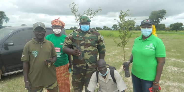 Campagne de reboisement 2020 à Tamba : 1200 arbres plantés à Sinthiou Maléme par le service des eaux et forets avec  l’appui de l’Ancar et du PAM.