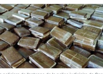 Tamba: La Douane saisit 1.376 kg de chanvre indien à Kidira