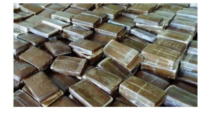 Tamba: La Douane saisit 1.376 kg de chanvre indien à Kidira