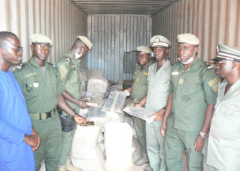 Tamba : La drogue saisie à Kidira est estimée à plus de 266 millions de francs Cfa