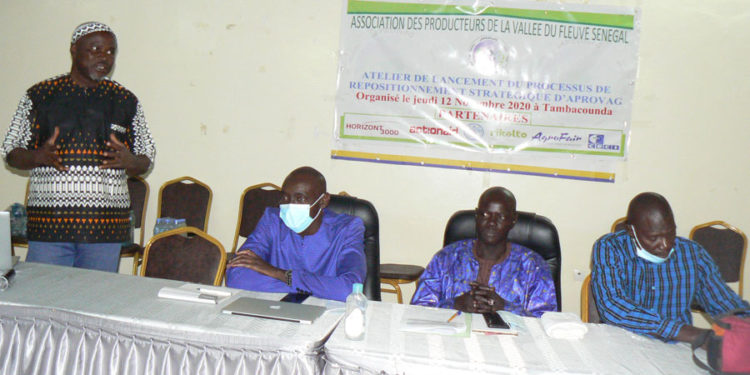 Tambacounda : L’APROVAG opte pour le repositionnement stratégique de la structure