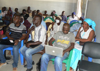 Tamba: Enda Pronat prône la Transformation Agro-Ecologique pour un développement durable