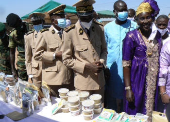 Tambacounda : Journée du fonio à Goudiry, le leadership de la femme pour la valorisation de la filière