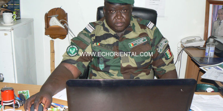 Tamba : Lutte contre les feux de brousse, le commandant Gaye, IREF, invite à plus de vigilance