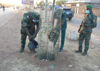 Tamba : (Vidéo)/ Programme de reboisement des axes routiers, les Eaux et forêts-Chasses plantent 400 arbres