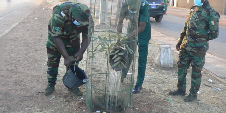 Tamba : (Vidéo)/ Programme de reboisement des axes routiers, les Eaux et forêts-Chasses plantent 400 arbres