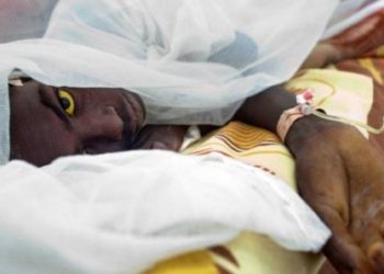 Tambacounda: 4 cas de fièvre jaune détectés à Kidira, dont 2 décès