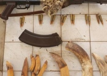 Tamba/Trafic faunique : Prison ferme pour les 3 trafiquants dont un ex- ASP