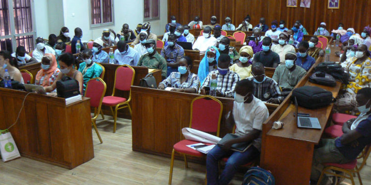 Tamba : Am Bé Koun Solidarité-Enda Pronat et des Acteurs, se penchent sur la Transition Agroécologique au niveau local