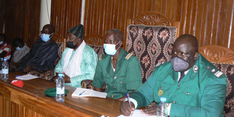 Tamba : Partage de l’arrêté ministériel organisant la campagne d’exploitation forestière pour préserver la ressource.