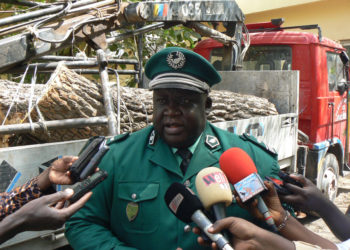 Tambacounda : Lutte contre le trafic illicite de bois, les agents des eaux et forêts mettent la main sur une cinquantaine de troncs.