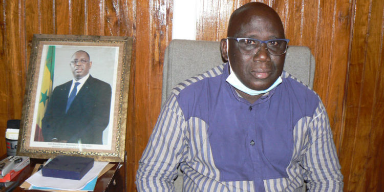 Tamba : Emploi des jeunes, le président du conseil département, Sina Cissokho livre ses propositions