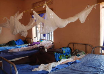 Paludisme : Diouf Sarr prône l’accélération du contrôle des zones à incidence élevée