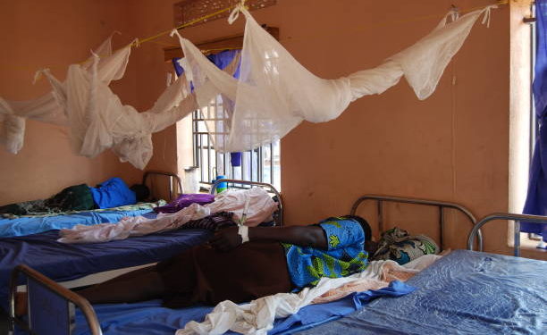 Paludisme : Diouf Sarr prône l’accélération du contrôle des zones à incidence élevée