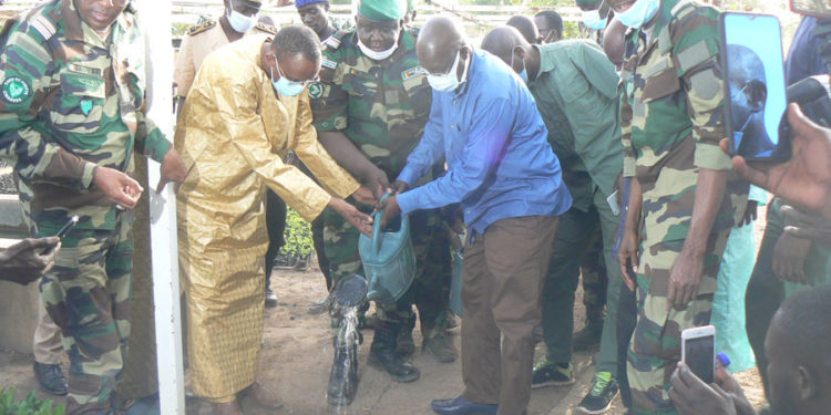 Vidéo : Visite du Ministre de l’environnement et de celui de l’urbanisme à la pépinière des Eaux et Forêts de Tamba
